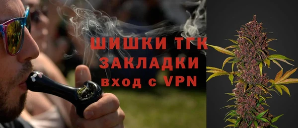 индика Баксан