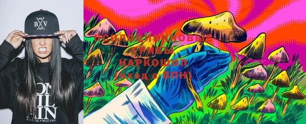 индика Баксан