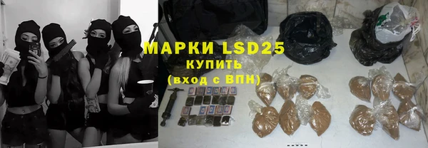 индика Баксан
