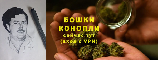 индика Баксан