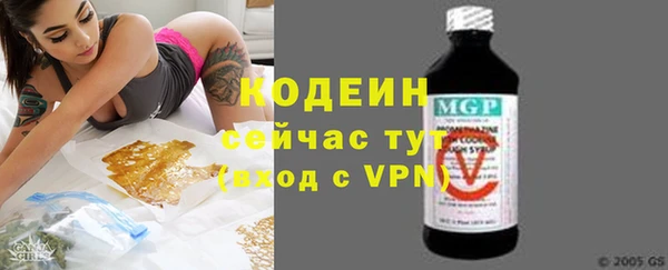 индика Баксан