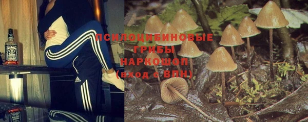 индика Баксан