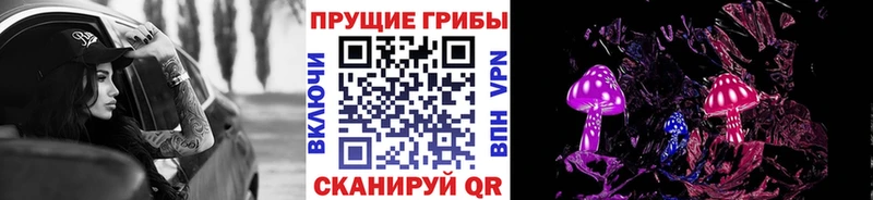 Купить закладки  Губаха  Галлюциногенные грибы Magic Shrooms 