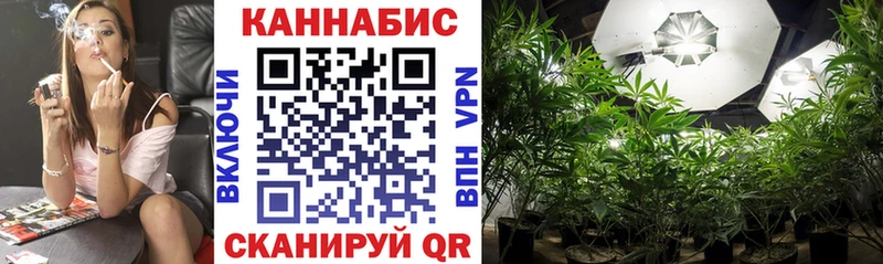 Бошки Шишки MAZAR  Купить закладки  Губаха 